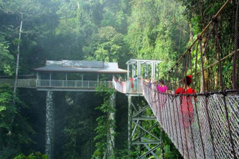 西双版纳景区旅游专线车(含景区门票(免费接机)旅游