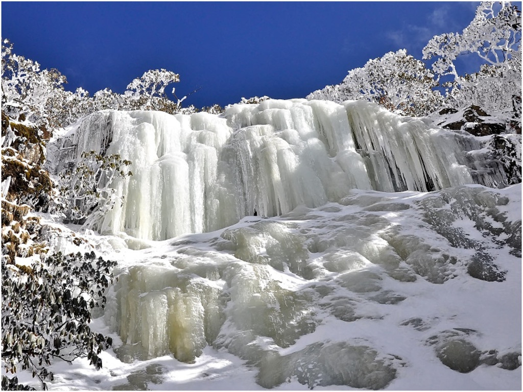  轿子雪山欢乐1日游>夏赏花,冬看雪,亲子游,家庭游