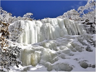 昆明旅行团旅游_公司旅游昆明_多少钱昆明旅游