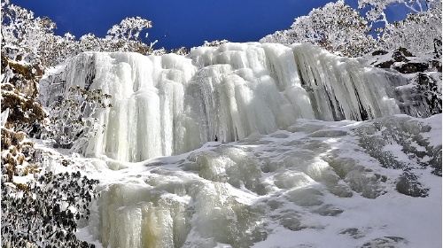 昆明-轿子雪山1日游 纯玩无购物,vip小包团,时间