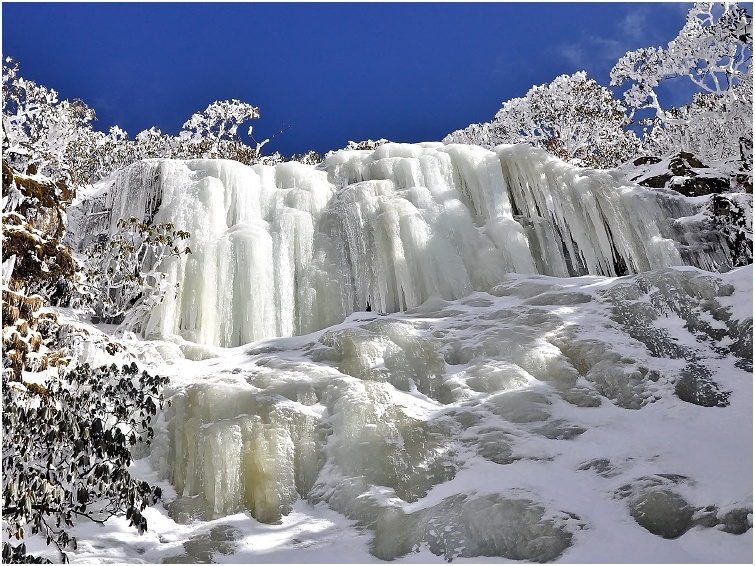 昆明轿子雪山简介_介绍_昆明轿子雪山旅游简介_旅游介绍_途牛