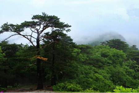 <木兰鸡冠山1日游>地质公园