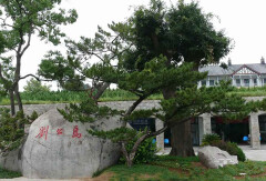景点模块 