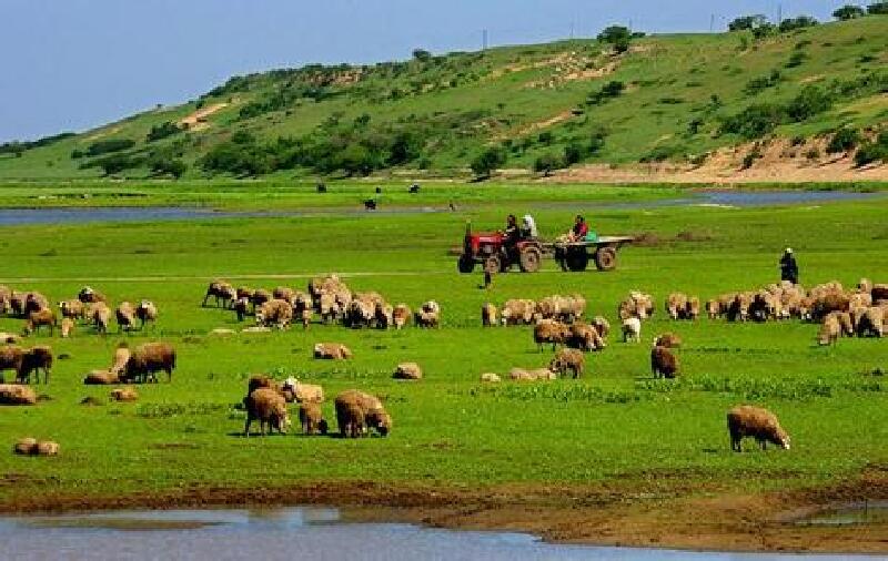 杜尔伯特蒙古族自治县旅游攻略2015_ 杜尔伯