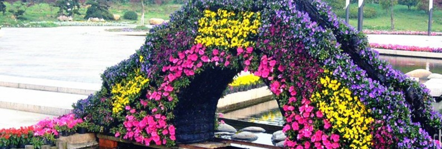 无锡旅游景点 太湖花卉园旅游攻略 有1张图 新 人 专 享$150 出境长