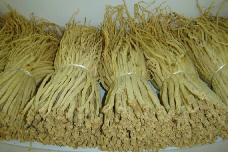 food_picture