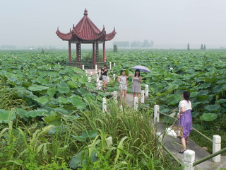 金湖县