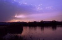 领略黄河湾湿地美景
