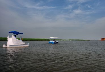 七里海国家湿地公园图片