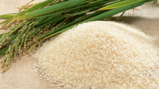 泰国大米（Thailand rice）