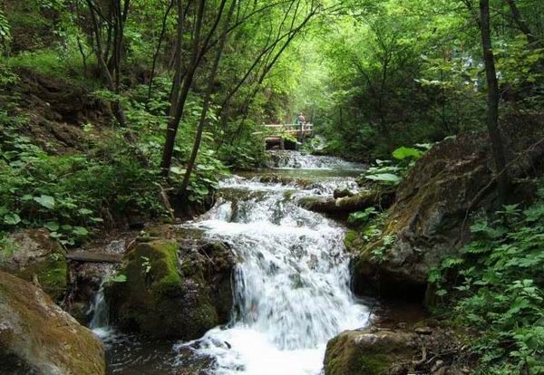 芦沟竹海自然风景区景点介绍