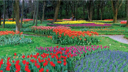 <陈村花卉世界汽车1日游>赠送特色双皮奶,观岭南文化建筑__出发_途牛