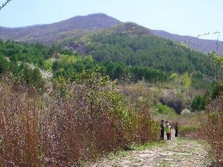 九龙川旅游攻略