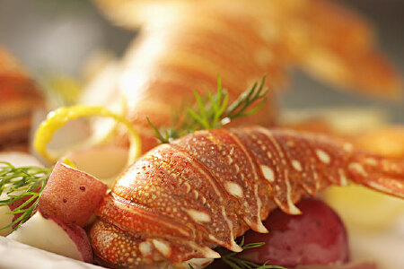 food_picture