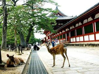 日本本州全景温泉美食6晚7日游>东京1日自由人