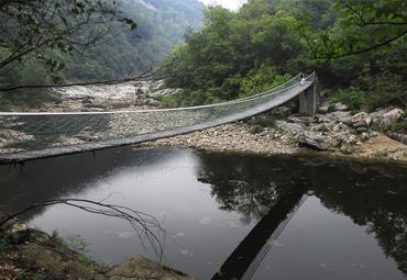 峡谷索桥图片