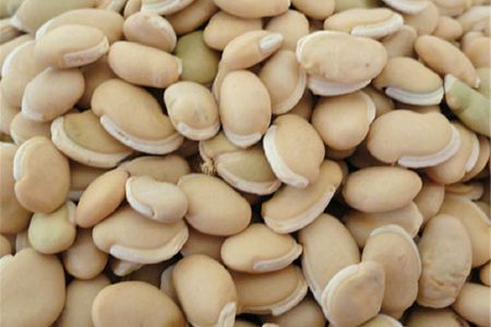 food_picture