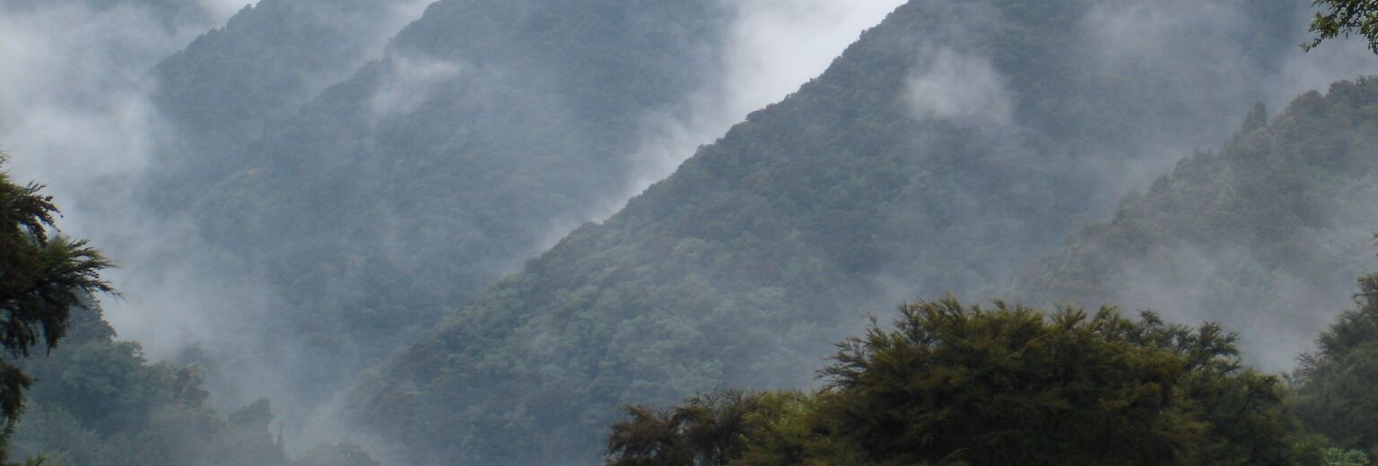 【2018】尤瑞瓦拉国家公园旅游攻略_尤瑞瓦拉