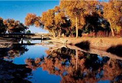 额尔齐斯河 景点模块