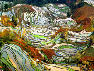 云南昆明半自助游_云南昆明旅游多少錢一個(gè)人_去云南昆明旅游