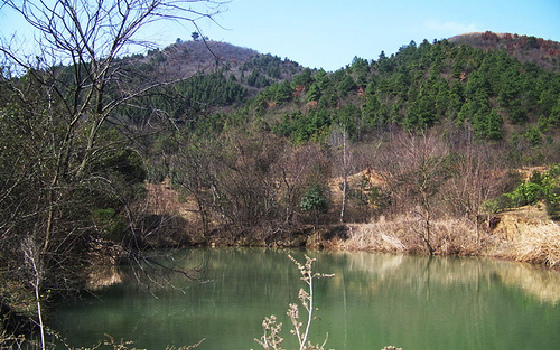 【2022】7月去江夏区哪儿最好玩_江夏区旅游景点大全_江夏区旅游景点