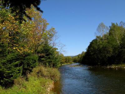 【2018】金山鹿苑风景区旅游攻略_金山鹿苑风