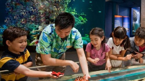 新加坡5晚6日游 亲子夏令营,魔术施教 乐高机器