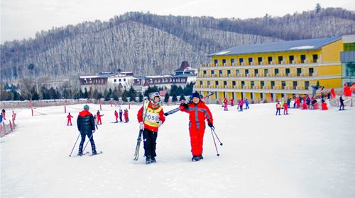  哈尔滨-亚布力新体委滑雪1日游>无购物 宾馆接送