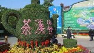 深圳東部華僑城瀑布酒店-深圳東部華僑城瀑布酒店為什么下架