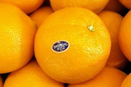 food_picture