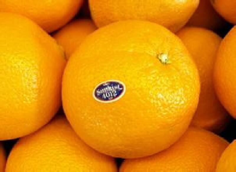 【新奇士橙(Sunkist orange)】价格_专卖店_哪