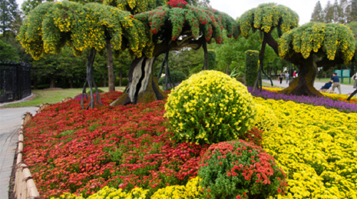  上海植物园-亲子自驾2日游>含门票,自助游览,宿上海鸿锦国际酒店
