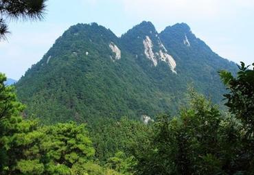 黄冈浠水三角山竹海明珠避暑山庄