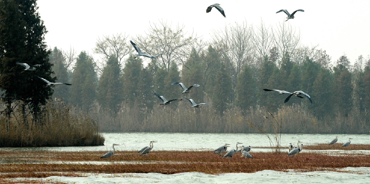 【太湖湿地公园门票价格】2013苏州太湖湿地公园门票团购,预订_途牛