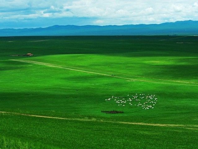 西乌珠穆沁草原,是世界四大草原之一——内蒙古锡林郭勒草原的典型