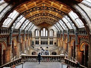 伦敦自然历史博物馆旅游攻略_2014伦敦自然历