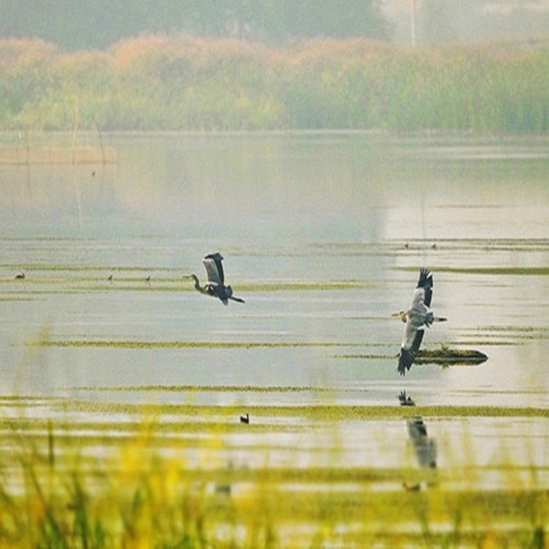 盘锦辽河湿地公园
