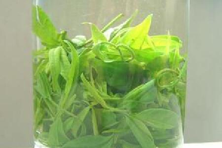 food_picture