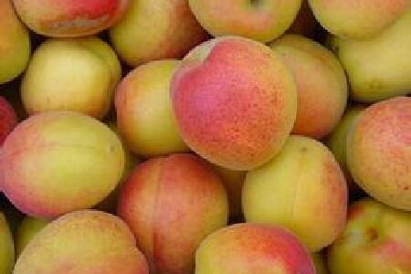 food_picture
