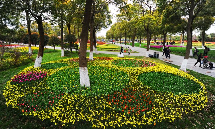 途牛上海鲜花港_上海鲜花港_鲜花拱门