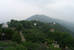 紫金山 景点模块