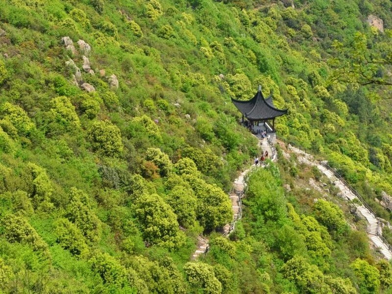 苏州大阳山国家森林公园