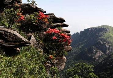 江西旅游 萍乡旅游 芦溪县旅游 武功山旅游