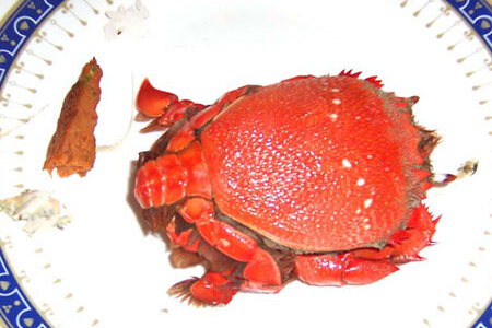 food_picture