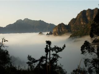 金秀莲花山