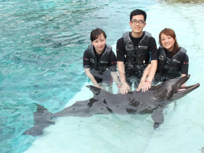 新加坡水上探险乐园好玩吗?(已解决)