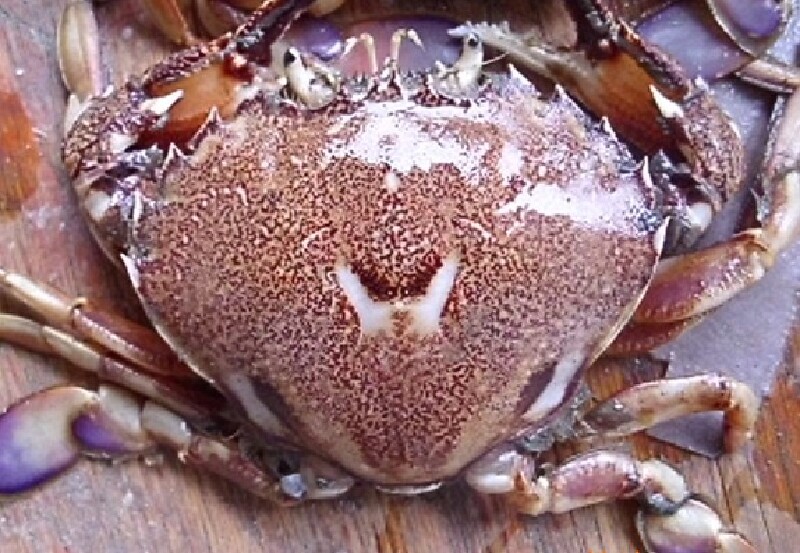 ʯзͼƬ   