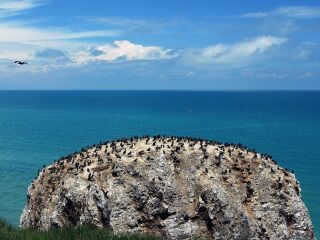 青海湖八月份旅游_深圳特價青海湖游_青海湖游報價