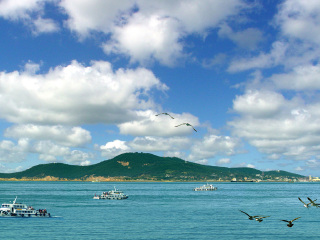 2021年山東青島旅游團報價_山東青島旅游團_去山東青島旅游怎么走