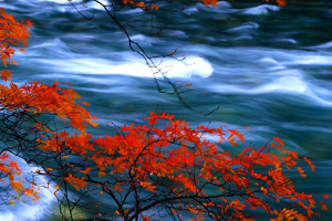 【沈阳到成都自驾游】_沈阳到成都自驾游路线